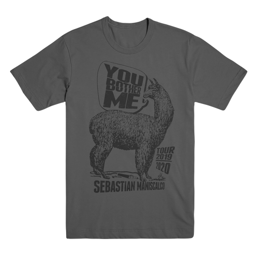 You Bother Me Alpaca T-Shirt - Gray